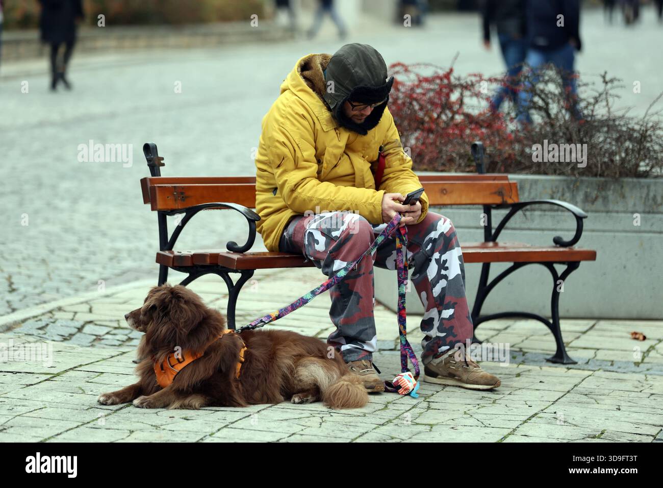 Personne dans des vêtements chauds vérifiant le téléphone tandis que le chien se repose à côté sur le banc urbain Banque D'Images