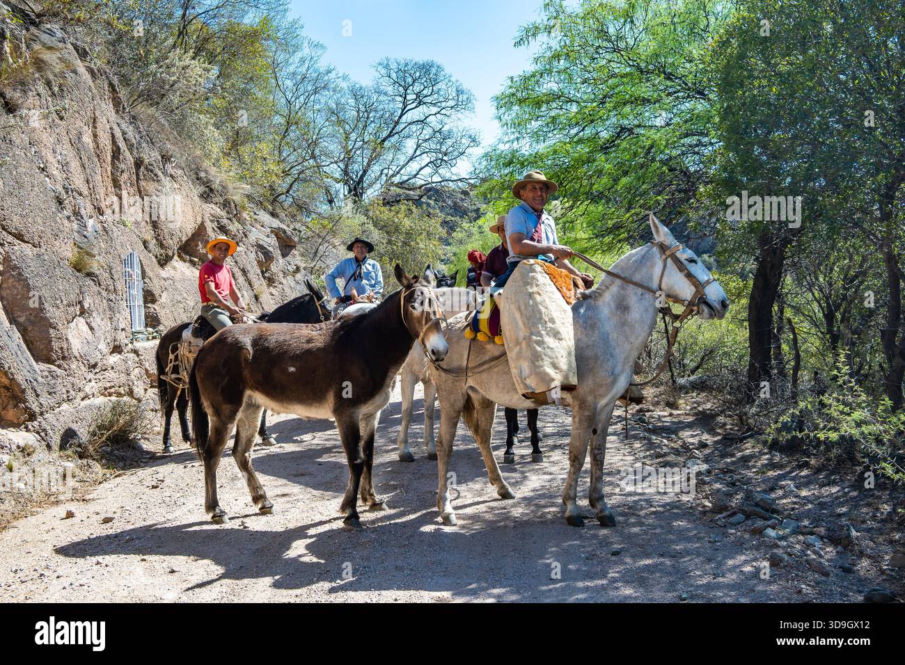 Un groupe de Gauchos, cow-boys argentins, à cheval sur un chemin de terre. Cordoue, Argentine. Banque D'Images