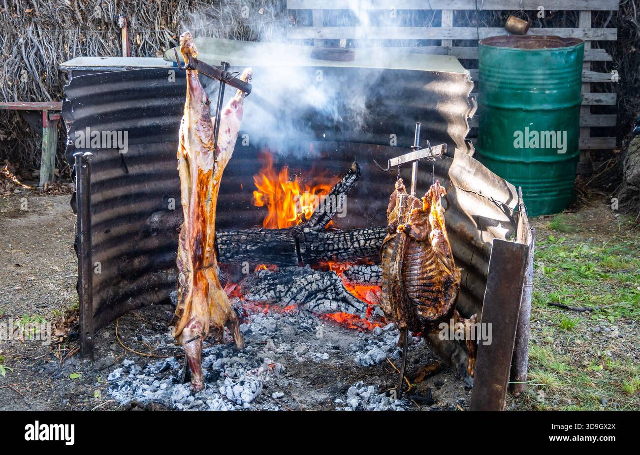 Agneaux sur un grill à feu ouvert, cuisine signature sur les steppes du sud de la Patagonie. Santa Cruz, Argentine. Banque D'Images