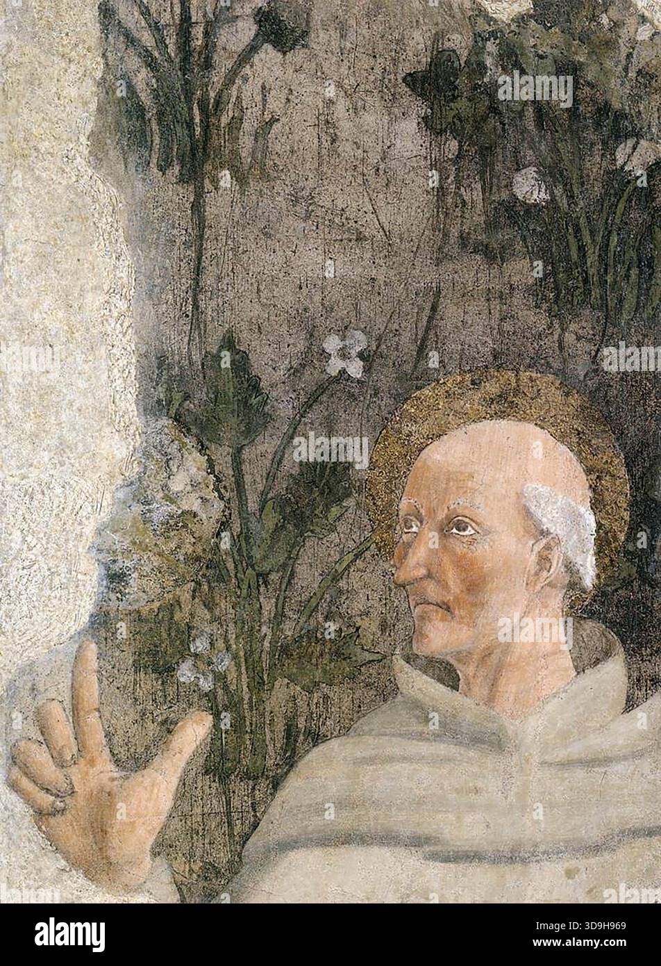 Lorentino D'AREZZO (né vers 1430, Arezzo, d. 1506, Arezzo) Saint Bernardino de Sienne 1452-66 Fresco San Francesco, Arezzo la grande fenêtre à deux lumières de la Cappellla Maggiore était l'œuvre de Niccol ? Tedesco fabriqué en 1417. Il a été détruit au XVIIe siècle. La fenêtre comprenait probablement des effigies de saints franciscains auxquelles, à la suite de la canonisation de Saint Bernardin en 1450, Lorentino, collaborateur de Piero della Francesca, a ajouté une image du nouveau saint sur un fond de mille fleurs dans l'embrasure de la fenêtre de la Cappella Maggiore de San Francesco, Arezzo. --- clé Banque D'Images