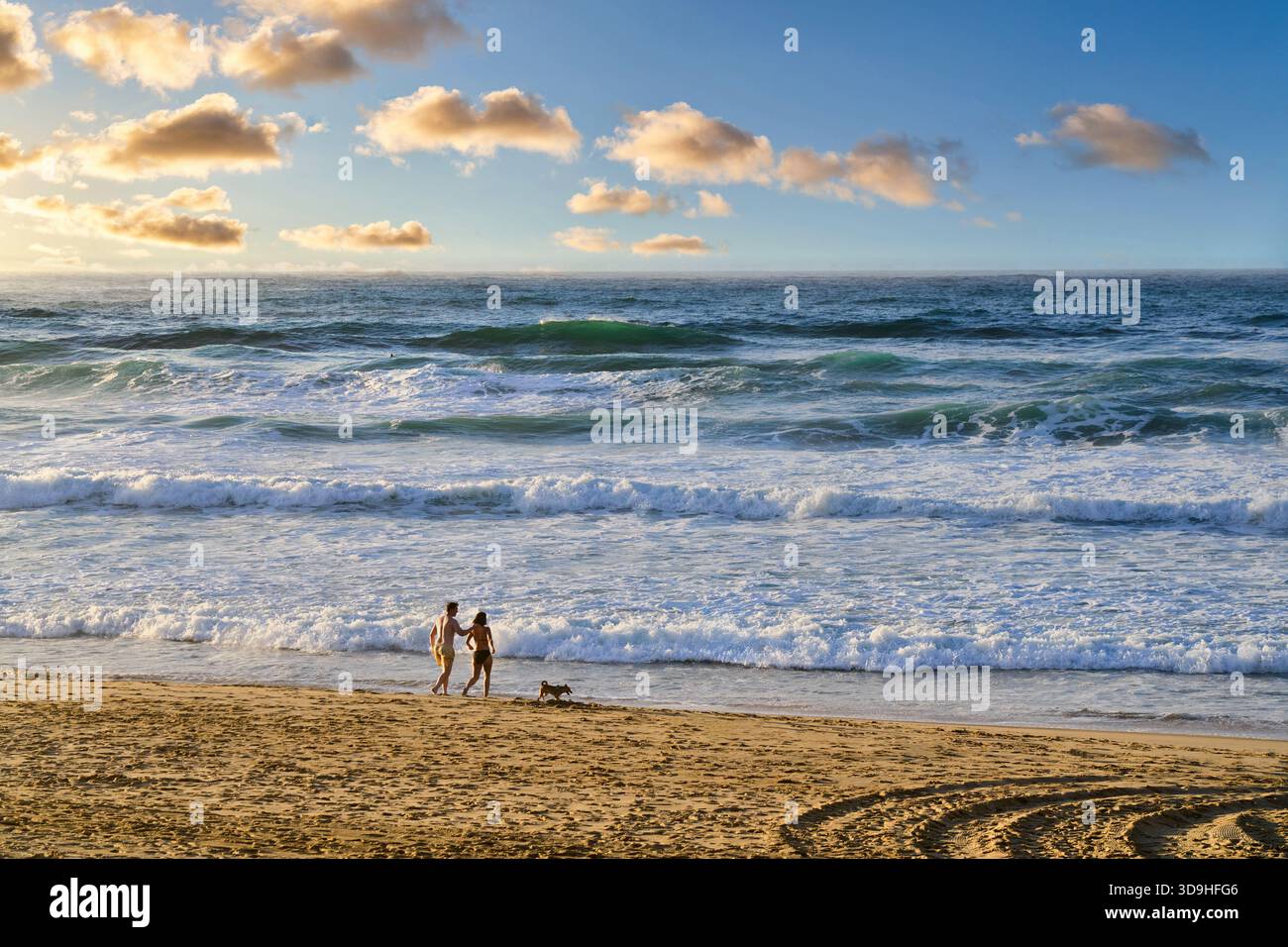 Couple avec chien sur la plage, Zurriola plage, Donostia, San Sebastián, Gipuzkoa, pays Basque, Espagne, Europe Banque D'Images