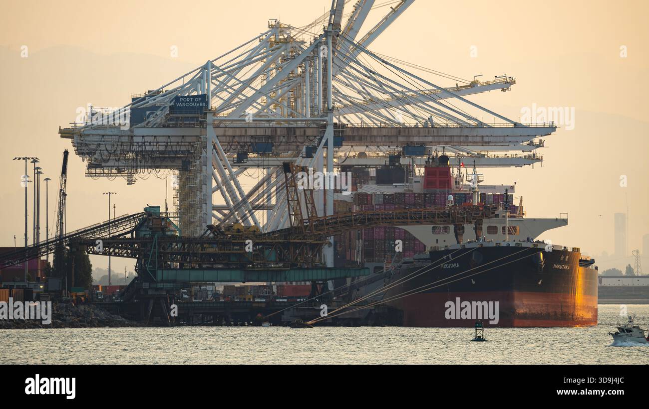 D'énormes grues à conteneurs s'élèvent au-dessus d'un cargo amarré à un terminal portuaire industriel, mettant en vedette les opérations mondiales de transport maritime. Banque D'Images