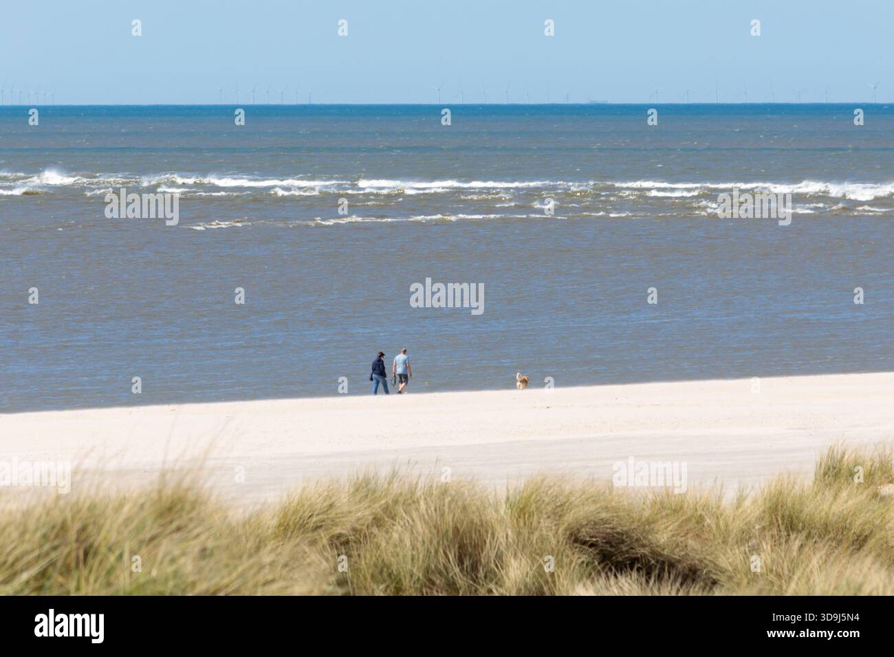 Couple promenant leur chien le long de la côte danoise Banque D'Images