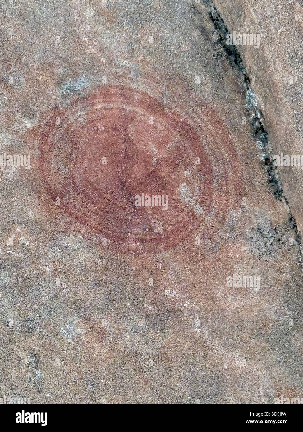 Les marbres de Moqui et les anneaux d'oxyde de fer comme ces motifs en spirale circulaires sont une découverte rare et intéressante, située sur un pic du parc d'État de Snow Canyon Banque D'Images