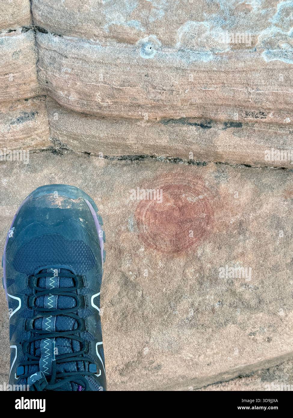 Les marbres de Moqui et les anneaux d'oxyde de fer comme ces motifs en spirale circulaires sont une découverte rare et intéressante, située sur un pic du parc d'État de Snow Canyon Banque D'Images