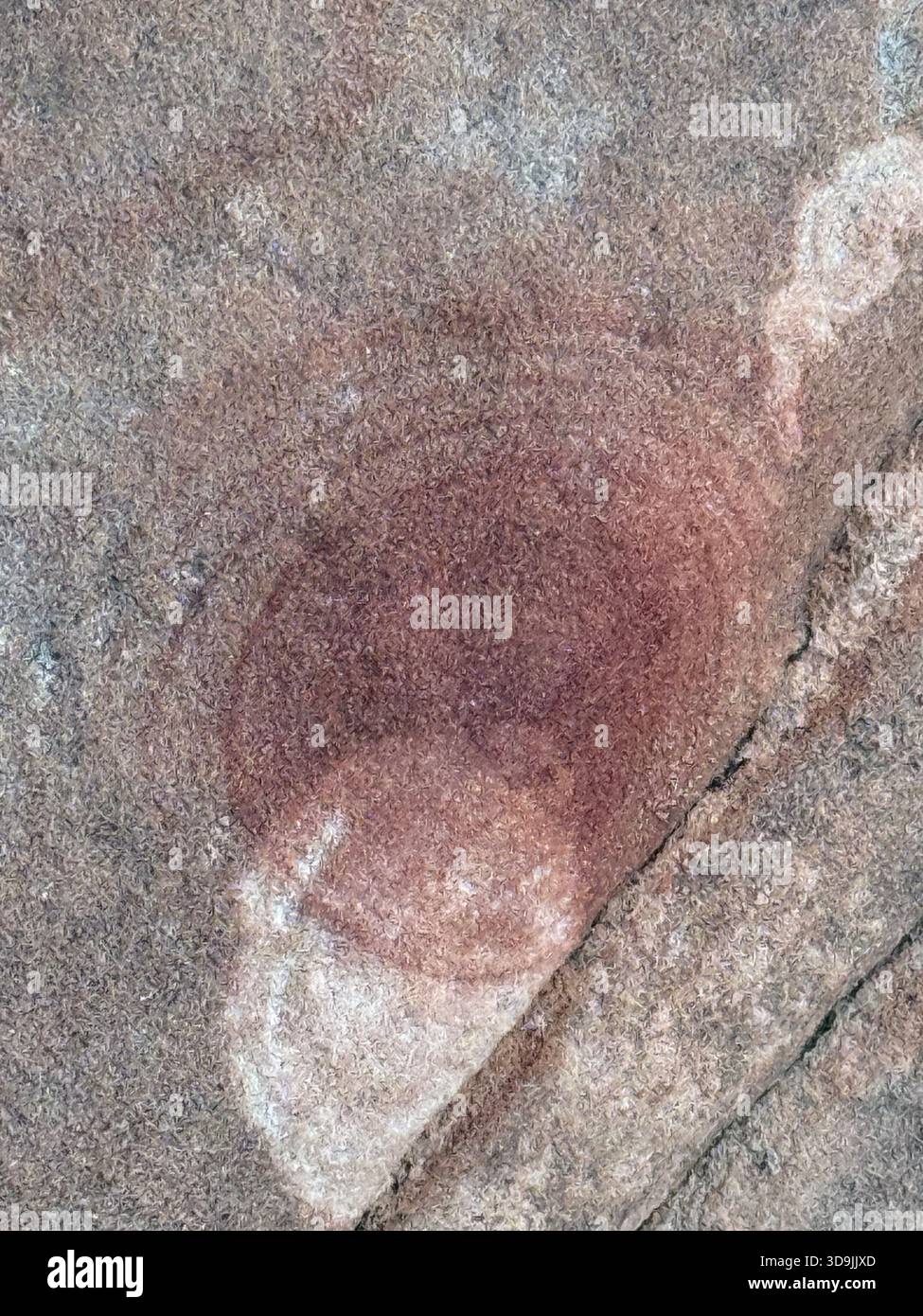 Les marbres de Moqui et les anneaux d'oxyde de fer comme ces motifs en spirale circulaires sont une découverte rare et intéressante, située sur un pic du parc d'État de Snow Canyon Banque D'Images