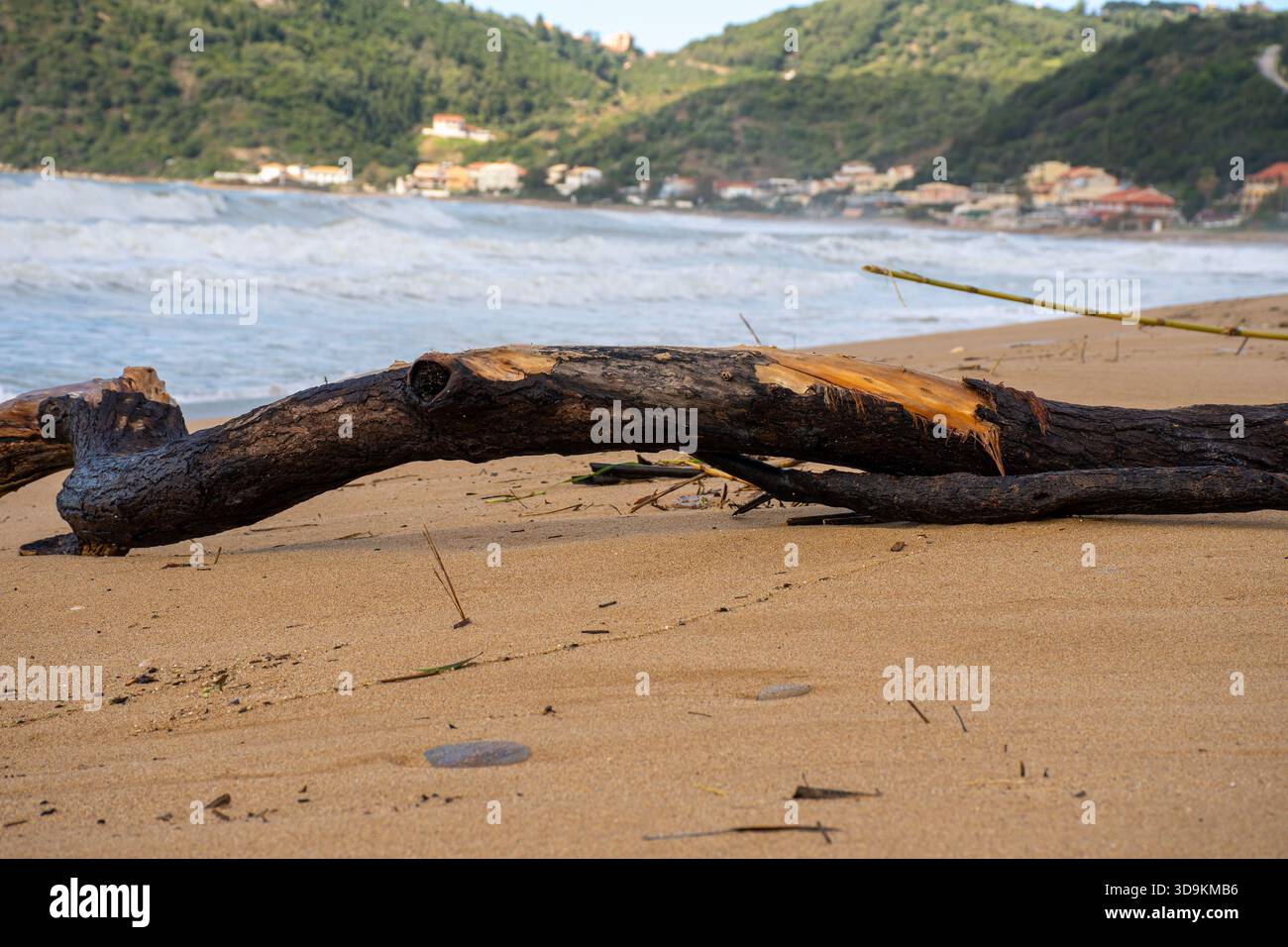 Grande bûche de bois flotté altérée reposant sur une plage de sable avec des vagues qui s'écrasent et un fond de village côtier sur l'île de Corfou, en Grèce Banque D'Images