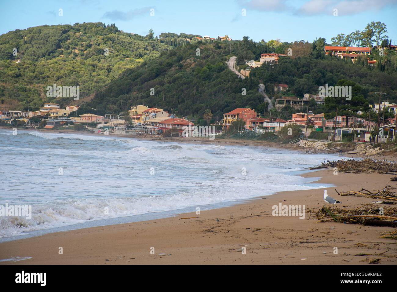 Vue panoramique de la plage d'Agios Georgios Pagon à Corfou en Grèce pendant l'hiver avec des vagues de mer agitées s'écrasant sur le rivage sablonneux couvert de débris de tempête et bambo Banque D'Images