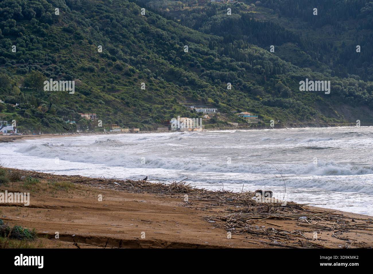 Paysage panoramique d'une pente de montagne verdoyante rencontrant la mer orageuse à la plage d'Agios Georgios avec de lourdes vagues et des débris naturels échoués sur le Banque D'Images
