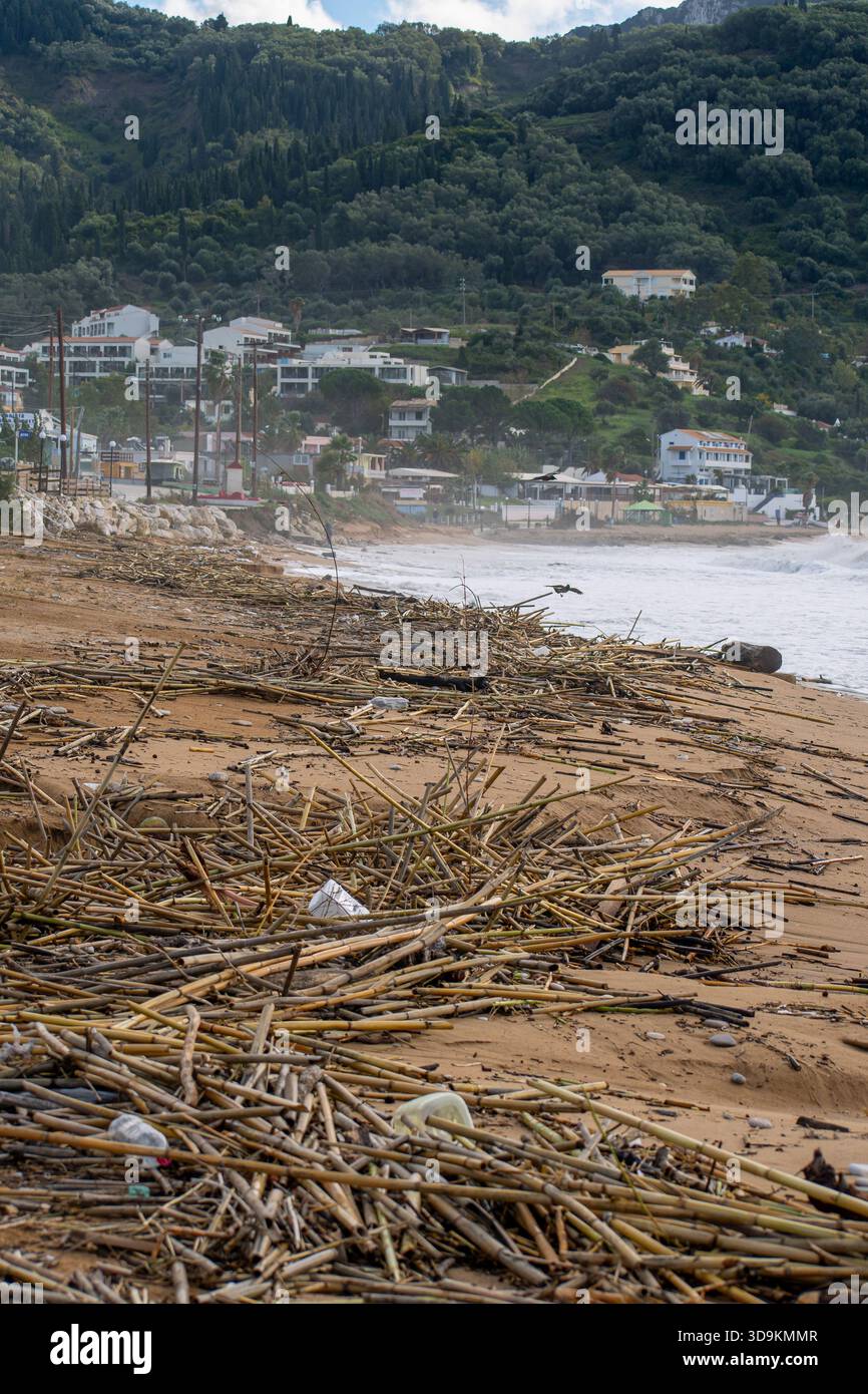 Plan vertical d'une plage complètement couverte de bâtons de bambou et de débris naturels avec un village côtier grec et des montagnes verdoyantes dans le backgr flou Banque D'Images