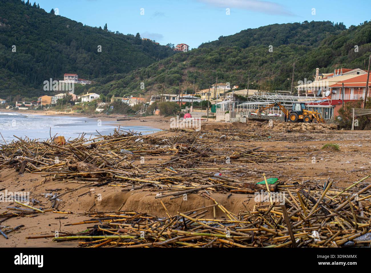 Vue large d'une plage de sable jonchée de milliers de roseaux de bambou et de bois flotté après une tempête avec une excavatrice jaune garée en arrière-plan près de c. Banque D'Images