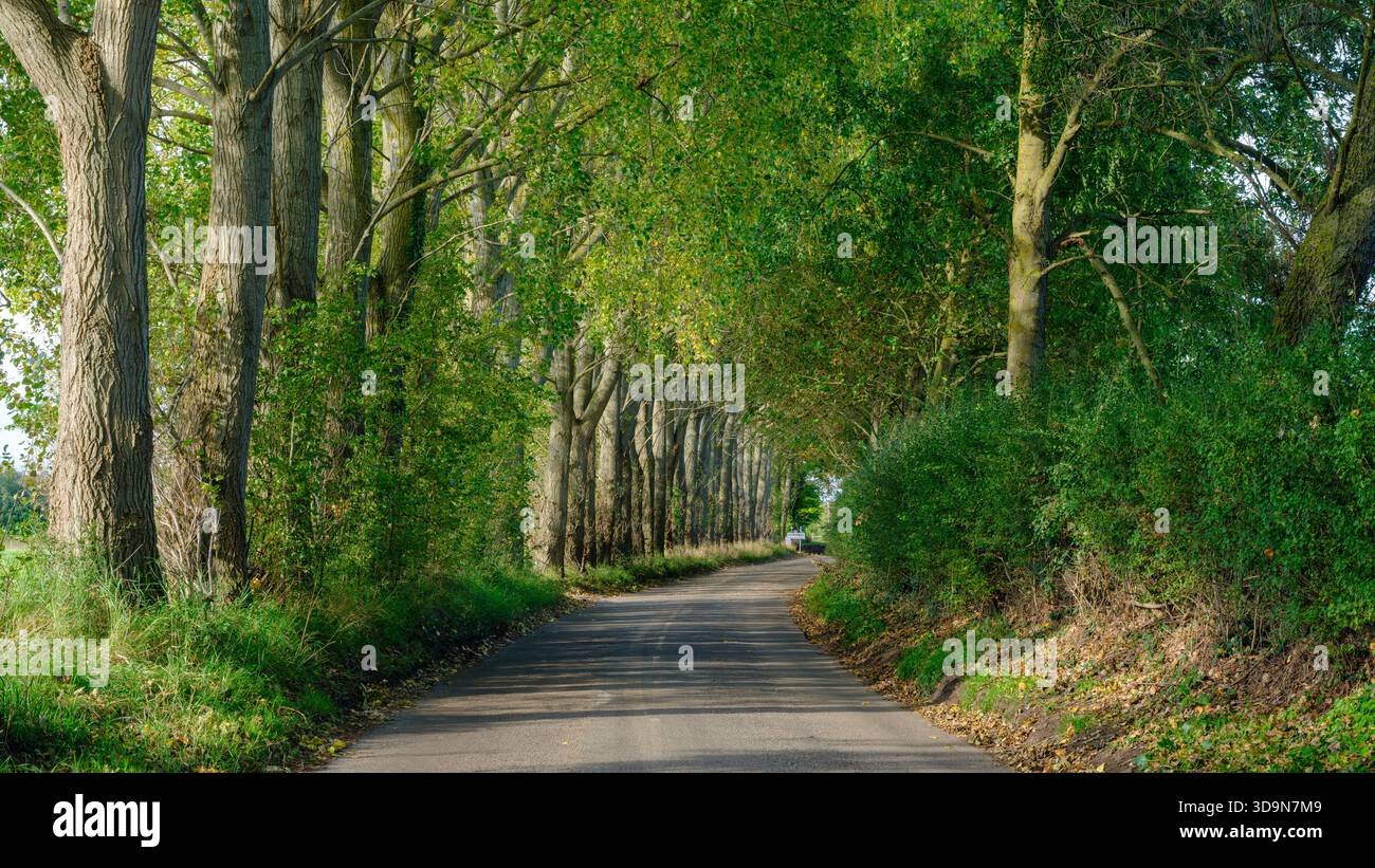 Havant, Royaume-Uni - 4 octobre 2024 : Country Lane, Hayling Island, Hampshire Banque D'Images