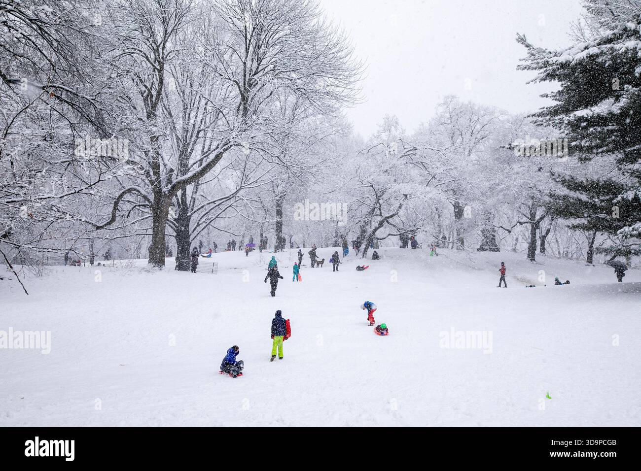 Neige hivernale à Central Park, New York. Banque D'Images