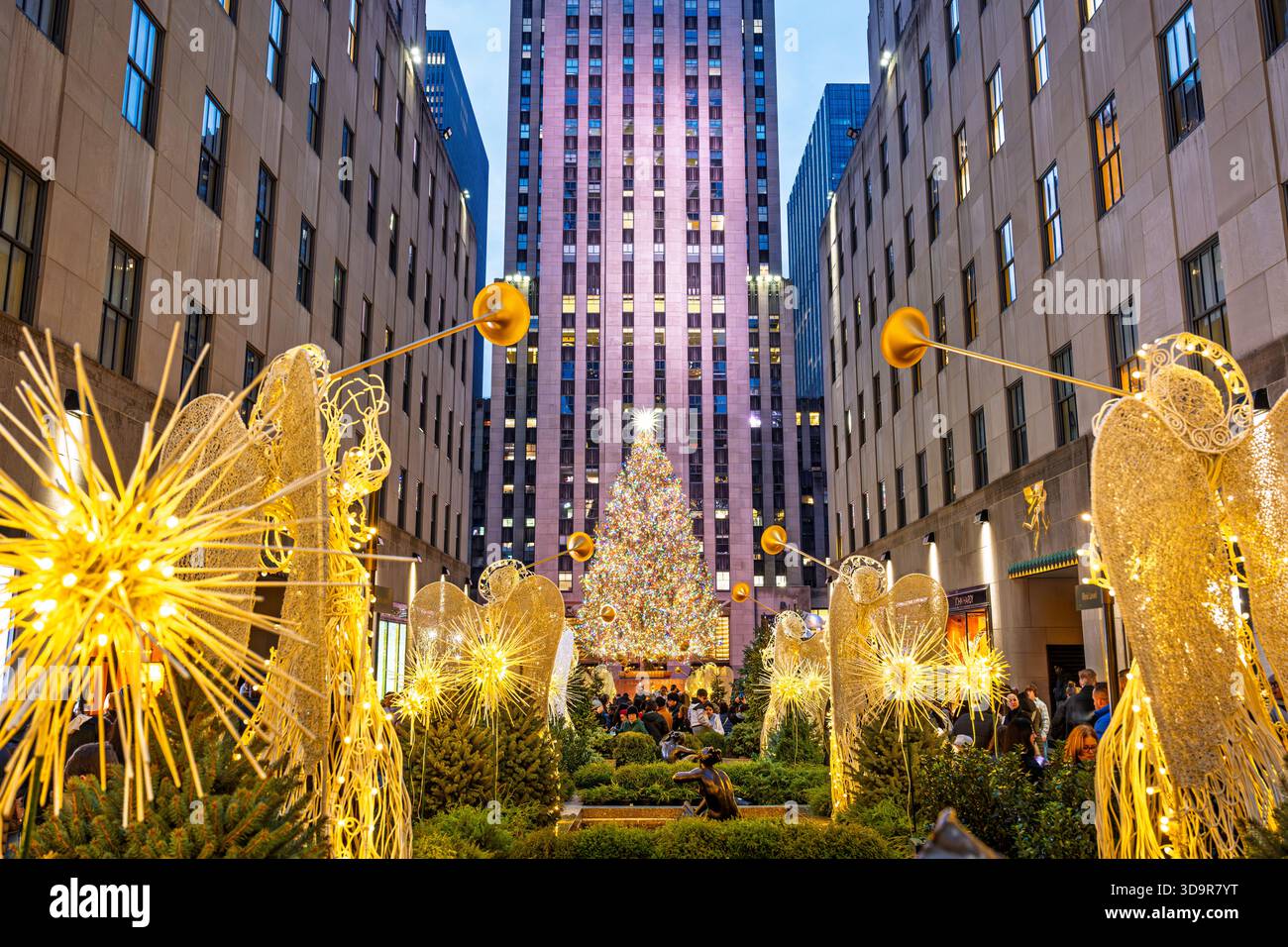 Arbre de Noël au Rockefeller Plaza en face du 30 Rock vu des Channel Gardens, New York. Banque D'Images