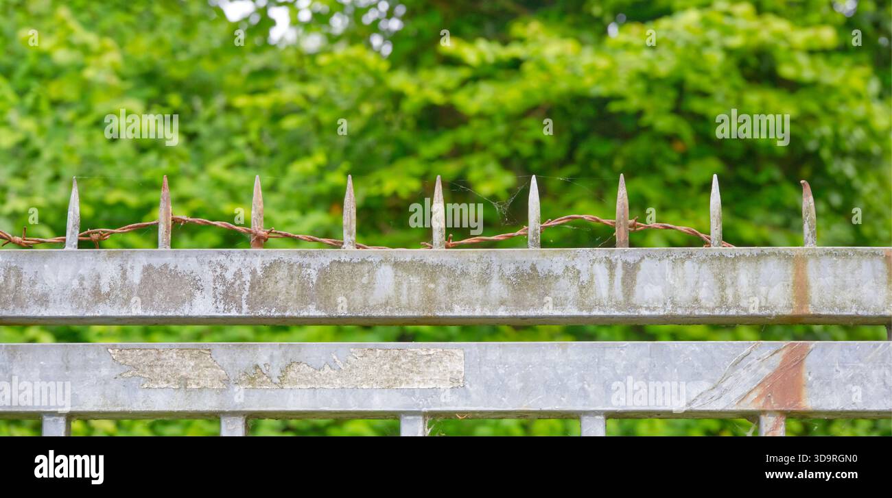 Fil de fer barbelé rouillé sur le dessus d'une clôture métallique avec des pointes pointues pointant vers le haut avec des arbres verts en arrière-plan sous la lumière naturelle du jour dans un se extérieur Banque D'Images
