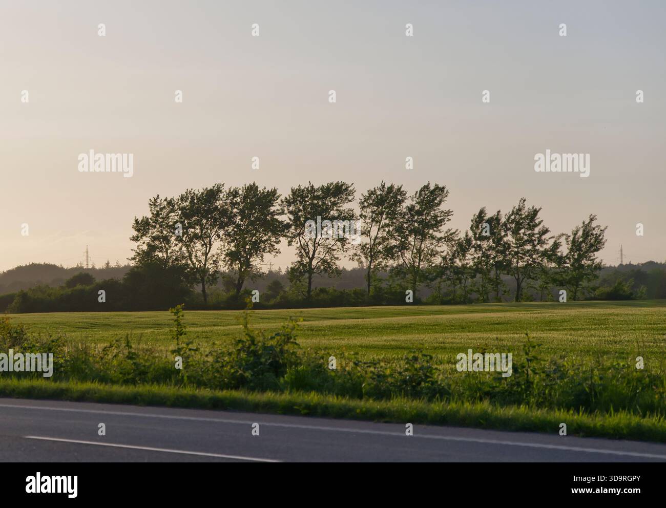 Route ouverte avec de l'herbe verte le long des buissons latéraux et des arbres dispersés à travers un champ avec des tours de puissance lointaines s'élevant au-dessus du paysage sous s clair Banque D'Images