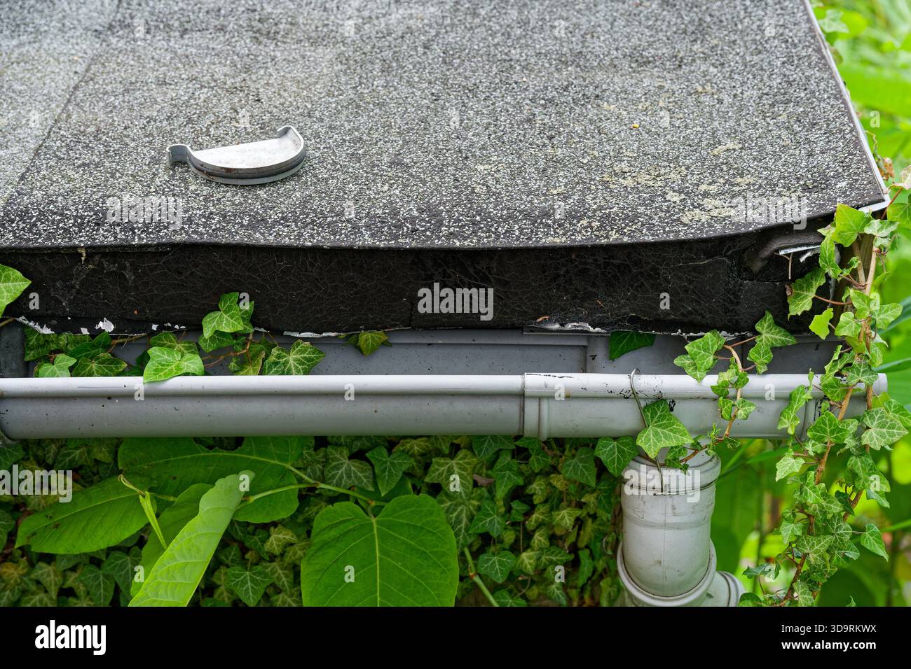 Le toit d'un bâtiment présente des tuyaux d'évacuation blancs qui descendent les côtés. Un bouchon d'extrémité de gouttière en plastique perdu se trouve sur le toit, tandis que les murs sont magnifiquement cov Banque D'Images