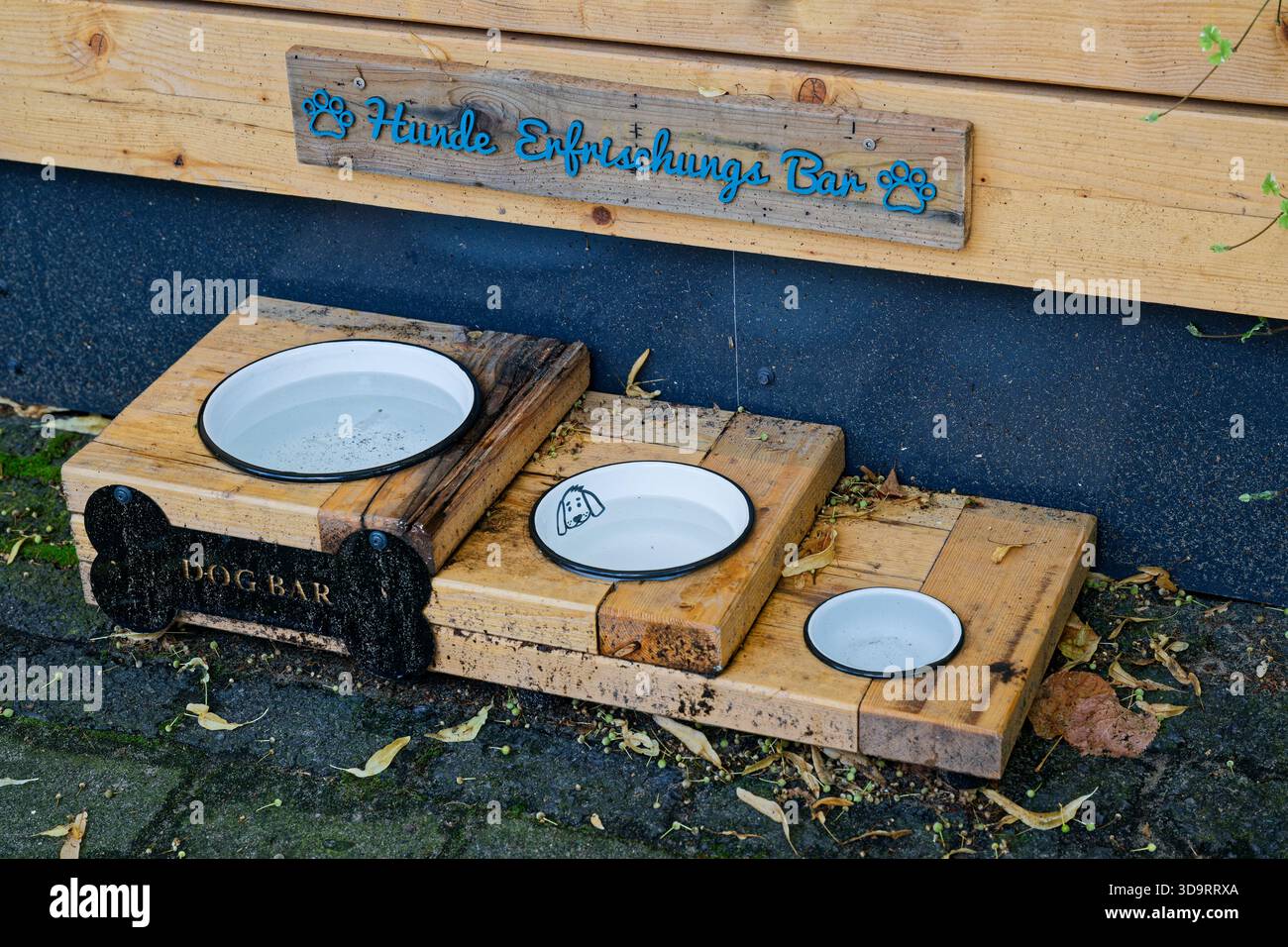 Une station d'angle de rue offre de l'eau aux chiens avec trois bols dans une rangée petit puis élevé puis grand, un panneau indique Dog Bar, la configuration semble amicale ne Banque D'Images