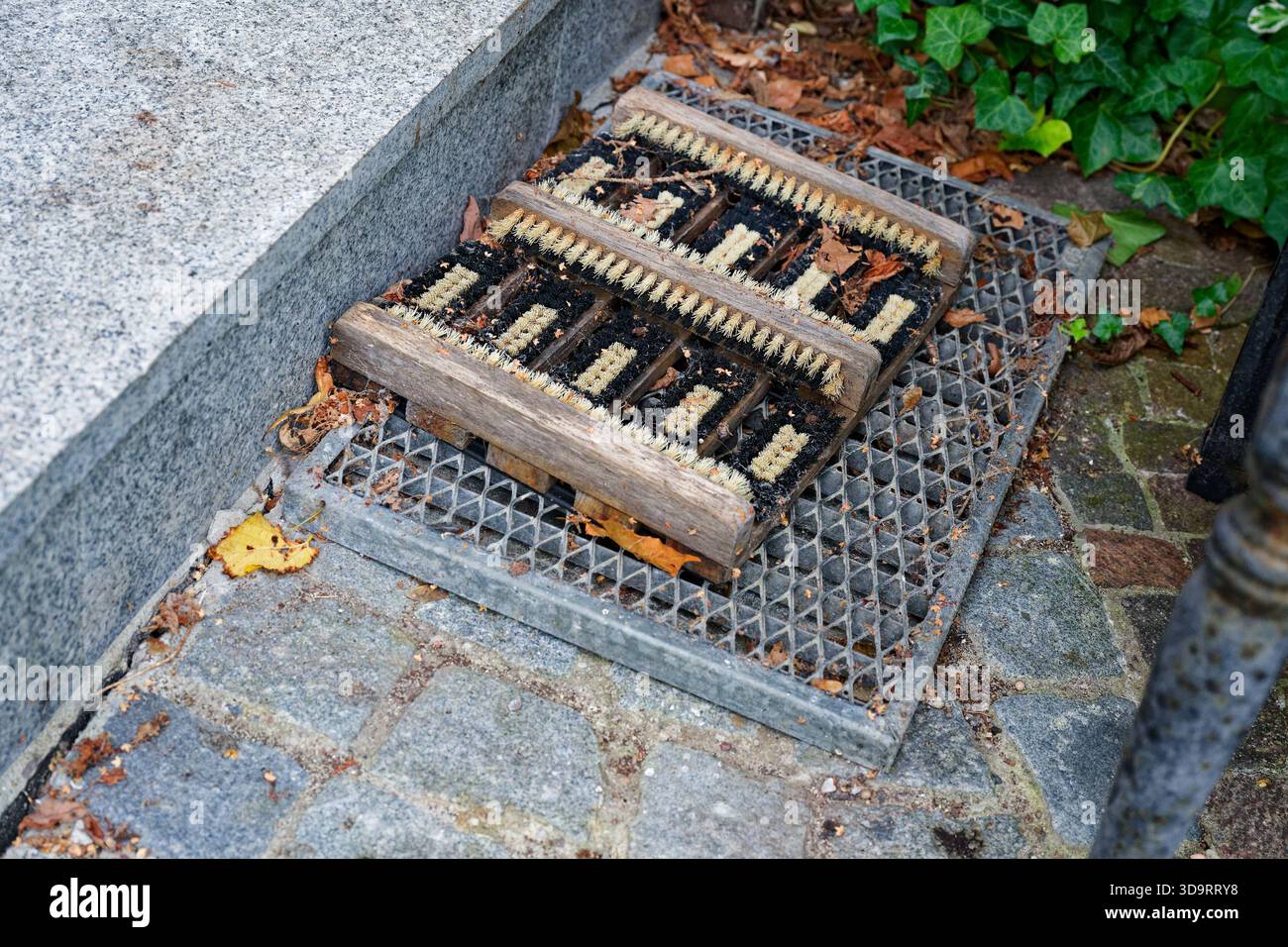 Une marche en béton extérieure tient une grille métallique pour essuyer les chaussures, un tapis de brosse en bois repose sur le dessus, les carreaux montrent l'usure et la saleté, l'entrée semble simple et Banque D'Images