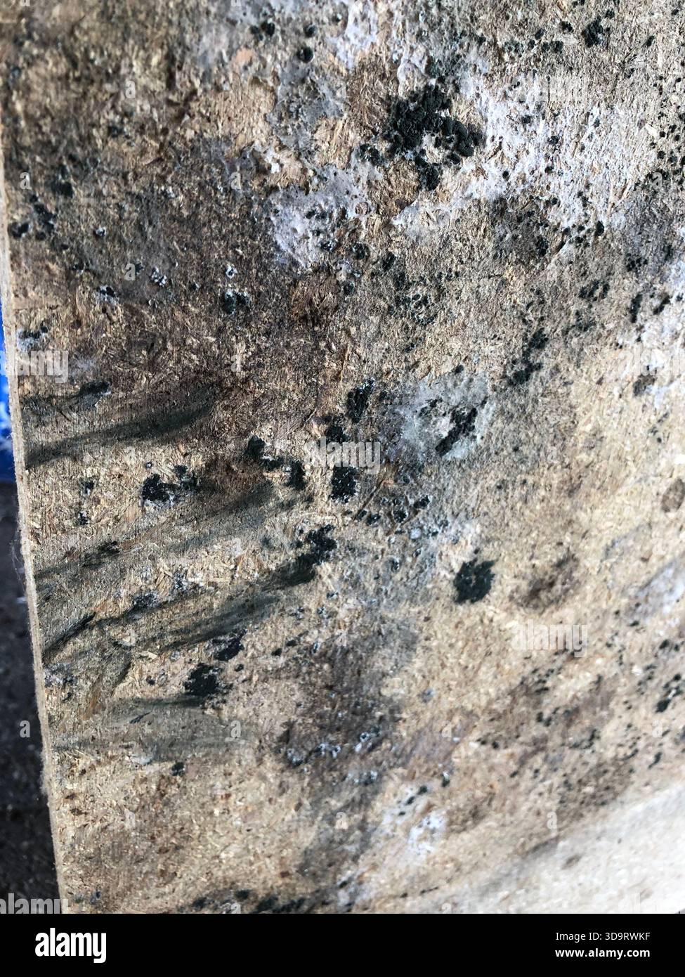 Une vue rapprochée d'une surface texturée montrant diverses nuances de avec des signes de moisissure aspergillus Niger. La surface semble rugueuse et altérée, indicat Banque D'Images