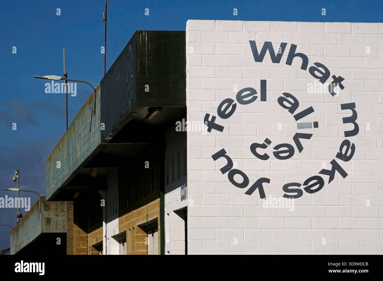 Mur avec le texte « qu'est-ce qui vous fait sentir vivant ? » dessus Banque D'Images