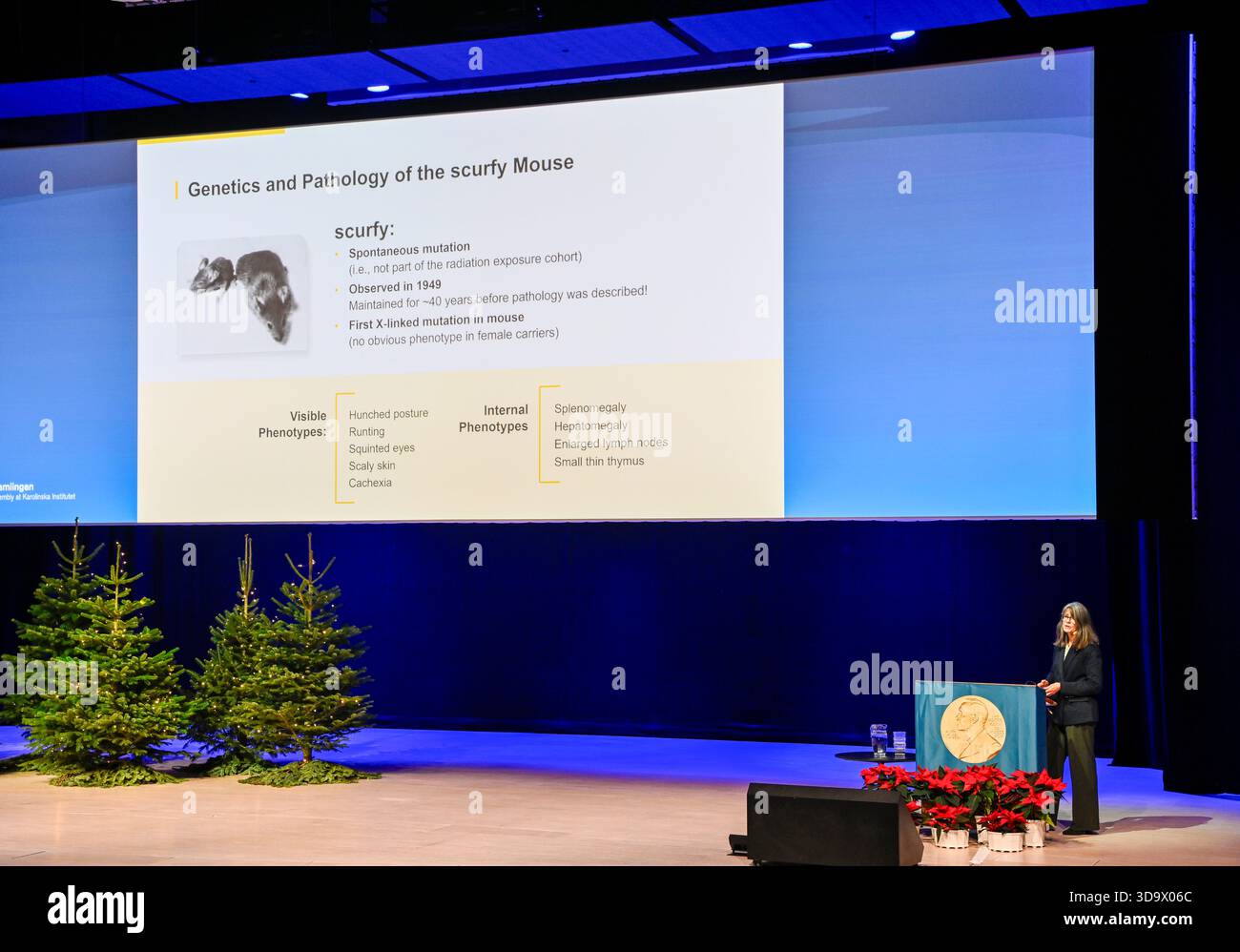 Stockholm, Suède. 07 décembre 2025. STOCKHOLM, SUÈDE 20251207 Mary Brunkow, lauréate du prix Nobel de physiologie ou médecine, prononce sa conférence « Un facteur clé de tolérance immunitaire périphérique » à Aula Medica à Stockholm, Suède, le 7 décembre 2025. Photo : Henrik Montgomery/TT/Code 10060 ce texte est traduit automatiquement crédit : TT News Agency/Alamy Live News Banque D'Images