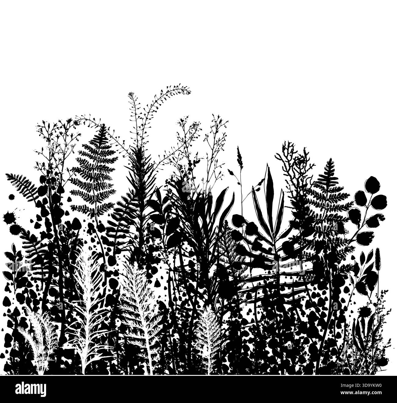 Bonjour l'été. Dessin manuel monochrome pour herbe de champ. Illustration vectorielle non IA Illustration de Vecteur
