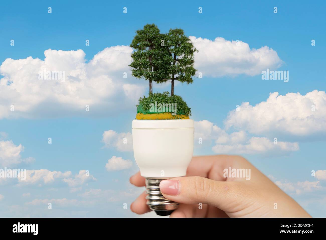 Main tenant l'ampoule avec de petits arbres montrant la durabilité écologique conservation de l'énergie nature protection du climat Living Care solution pour pl Banque D'Images