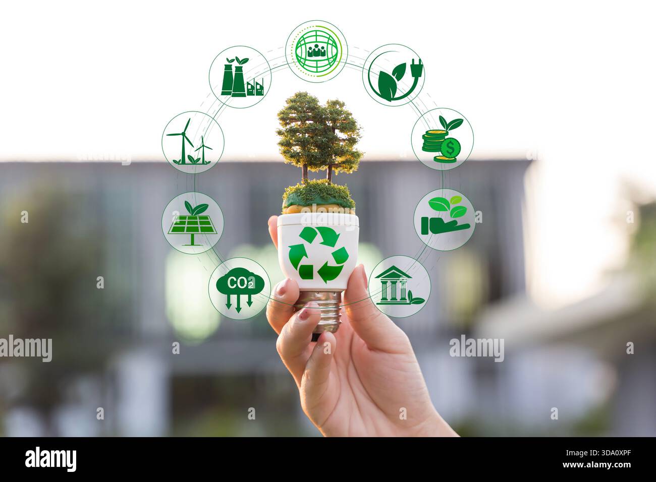 Main tenant l'ampoule avec petit arbre symbolisant la durabilité énergie renouvelable recyclage éco-responsable innovation environnement conservation vert t Banque D'Images