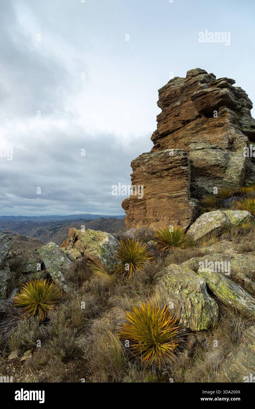 Un affleurement rocheux à Flat Top Hill conservation Area, Nouvelle-Zélande Banque D'Images