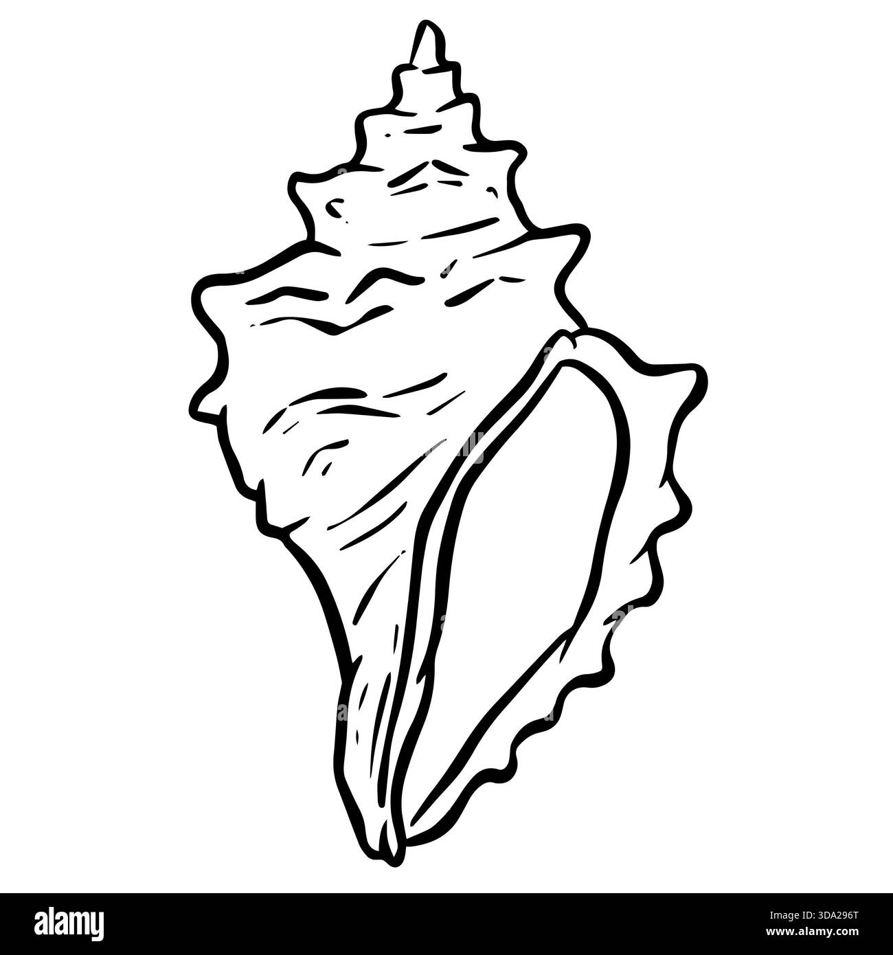 Illustration clipart dessinée à la main de coquillages mollusques coquillages de mer Banque D'Images