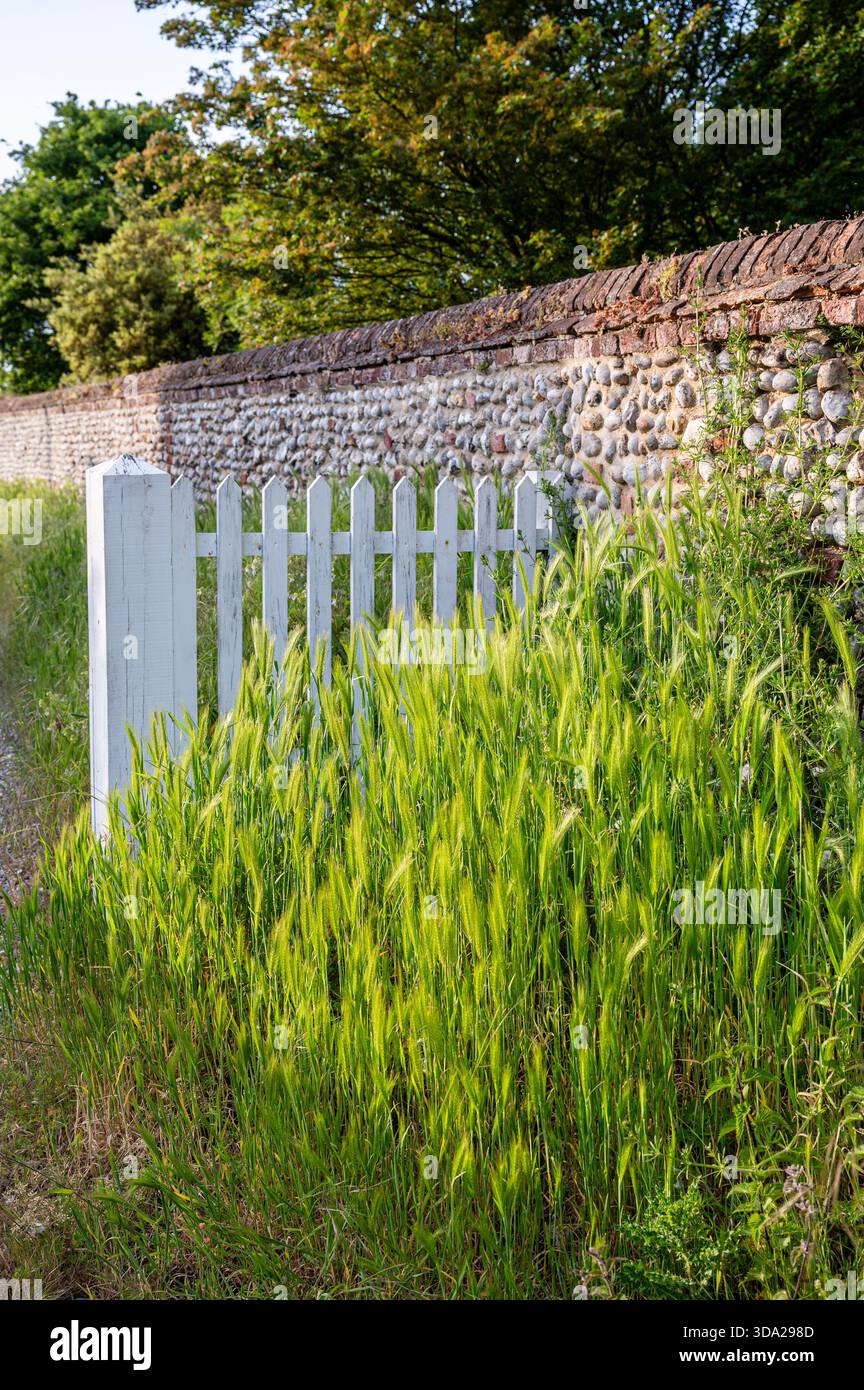 Norfolk construction locale murs en silex en été Banque D'Images