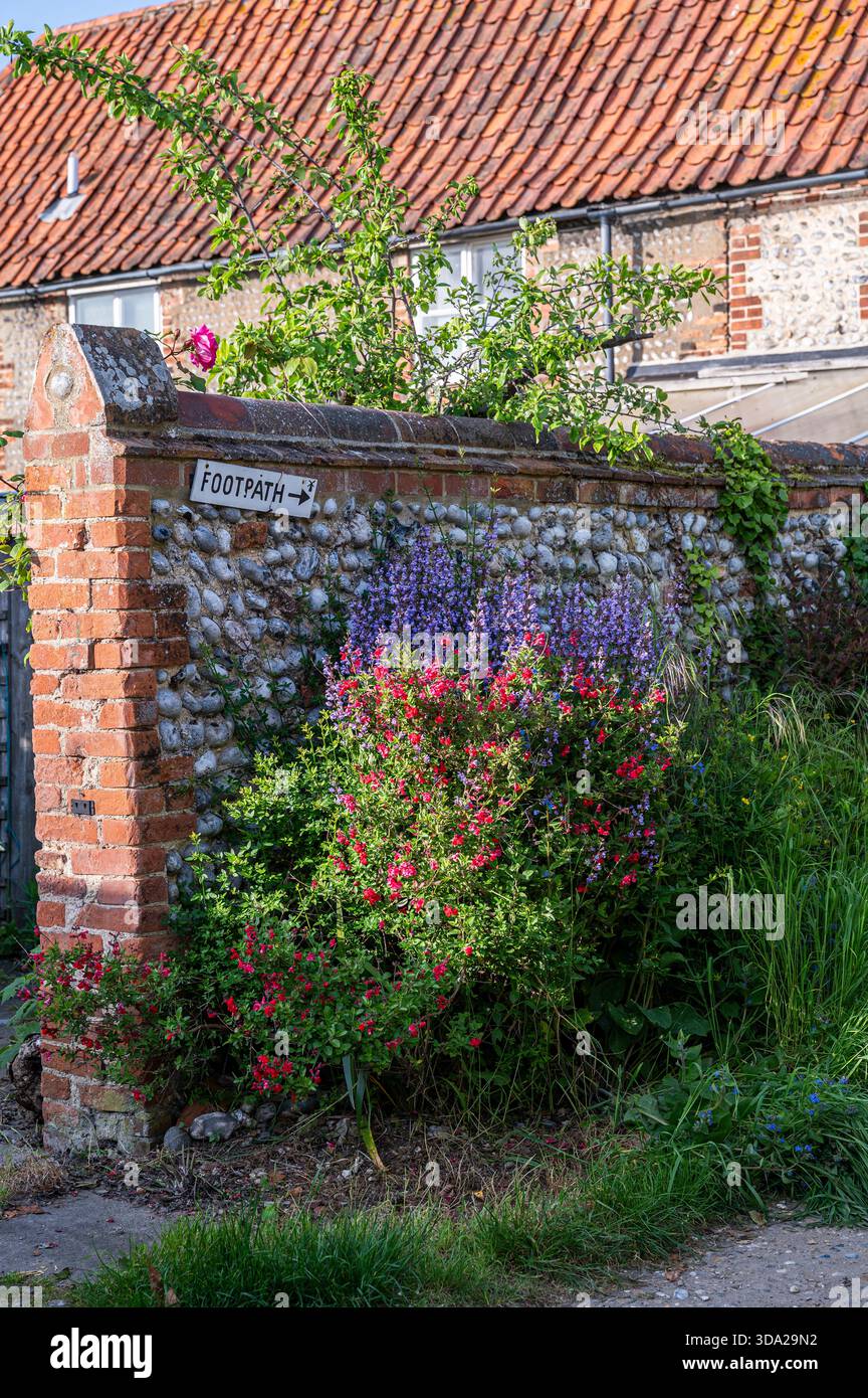 Murs de silex Norfolk, en été Banque D'Images
