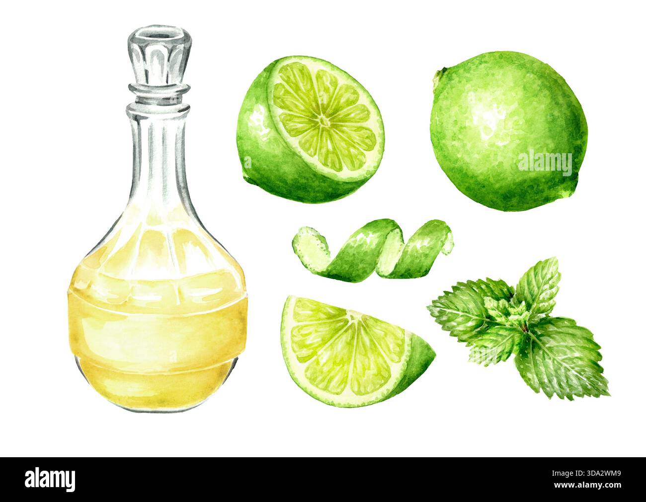 Carafe en verre ou flagon ou carafe de savoureux ensemble de boisson citron vert maison, boisson alcoolisée, alcool. Illustration d'aquarelle dessinée à la main isolée sur blanc Banque D'Images