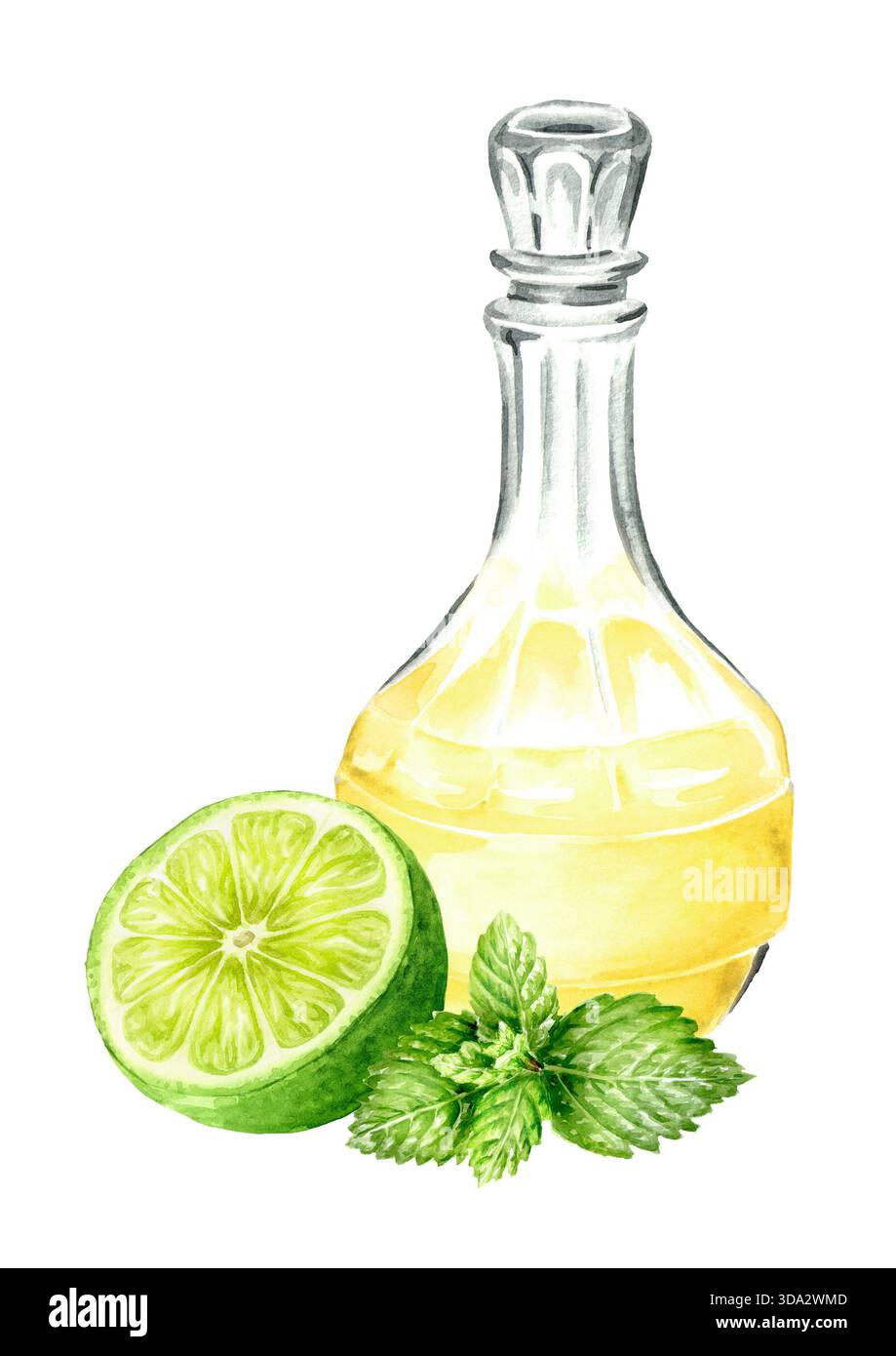 Carafe en verre ou flagon ou carafe de délicieuse boisson maison à la menthe citron vert, boisson alcoolisée, liqueur. Illustration d'aquarelle dessinée à la main isolée sur blanc Banque D'Images