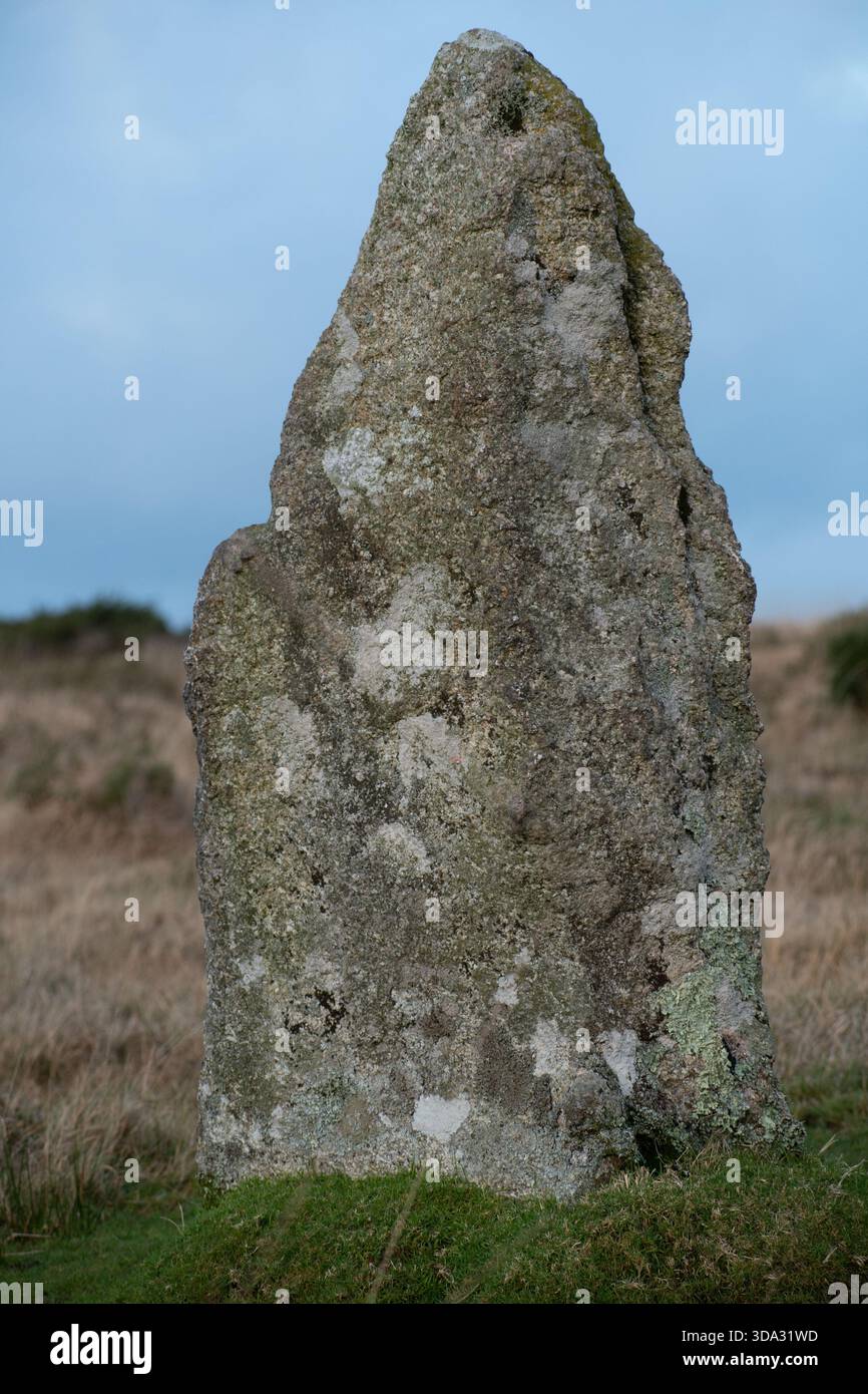 Colvannick Stone Row Bodmin Moor Cornwall Banque D'Images