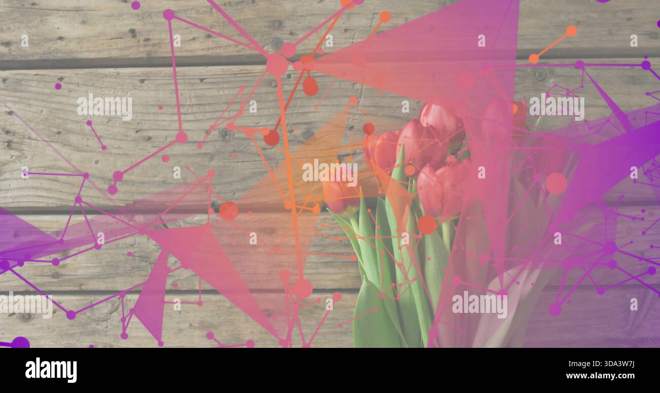 Montrant un bouquet de tulipes roses, des tiges vertes dans une enveloppe pâle sur une planche de bois, des superpositions colorées, un espace de copie Banque D'Images