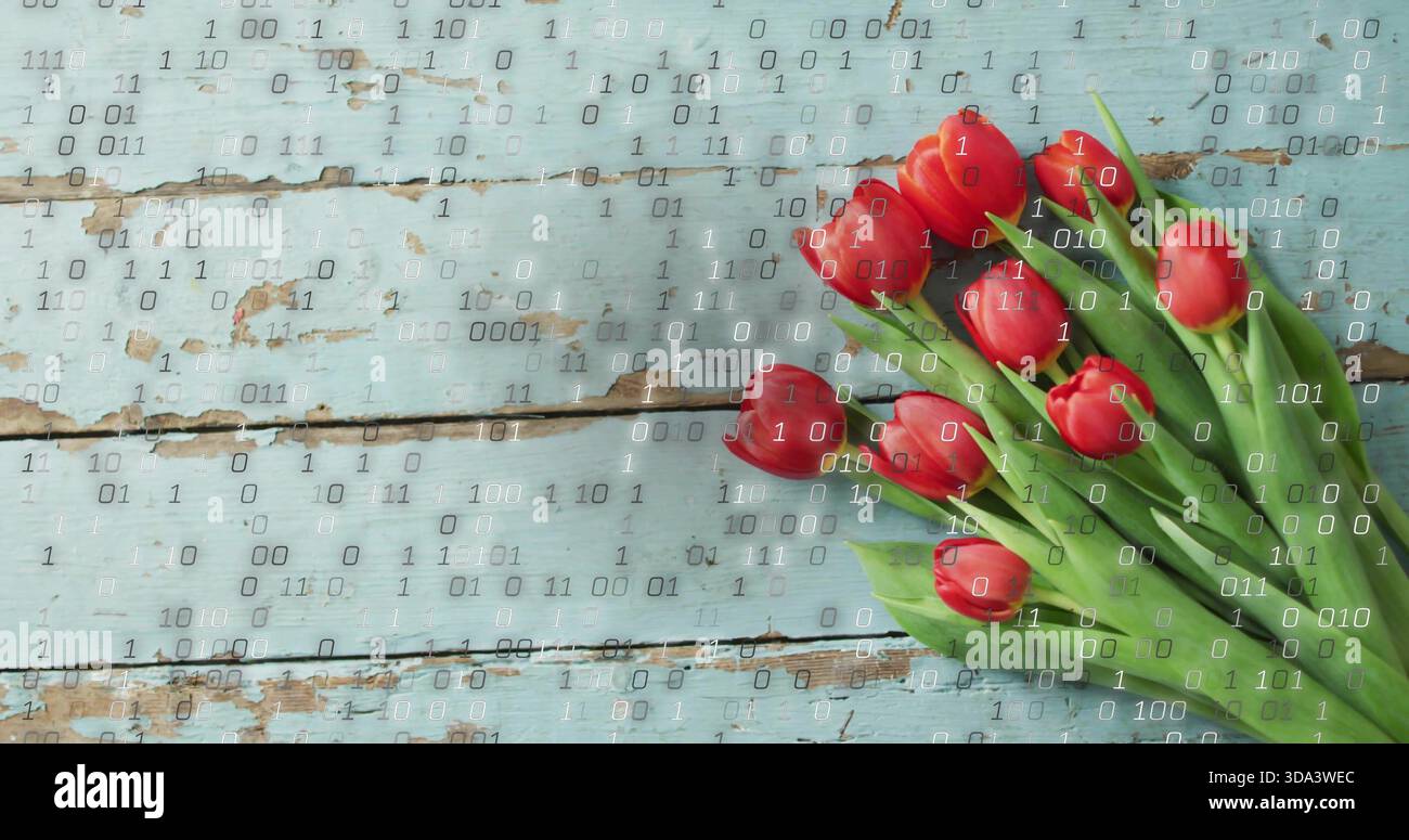 Bouquet de tulipes rouges au repos avec tiges vertes sur planches turquoise pâle, superposition binaire, espace copie Banque D'Images