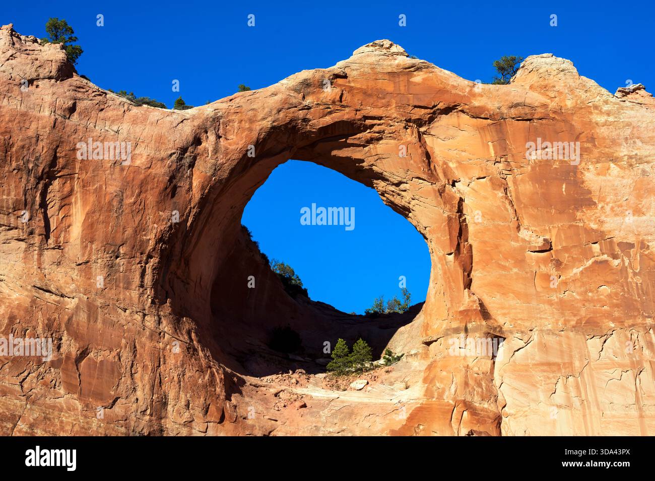 Window Rock (Tségháhoodzání), Arizona, États-Unis. Window Rock est une ville et un endroit qui sert de capitale à la nation Navajo, la plus grande Na Banque D'Images