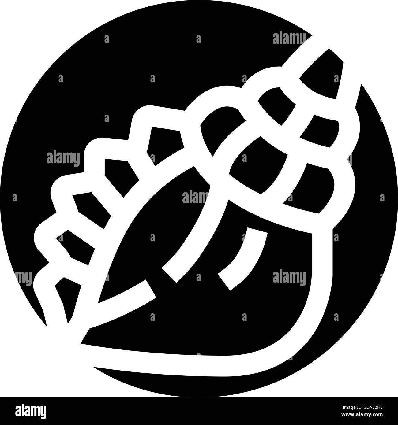 Seashell conque marine icône vecteur élément de conception graphique Illustration de Vecteur