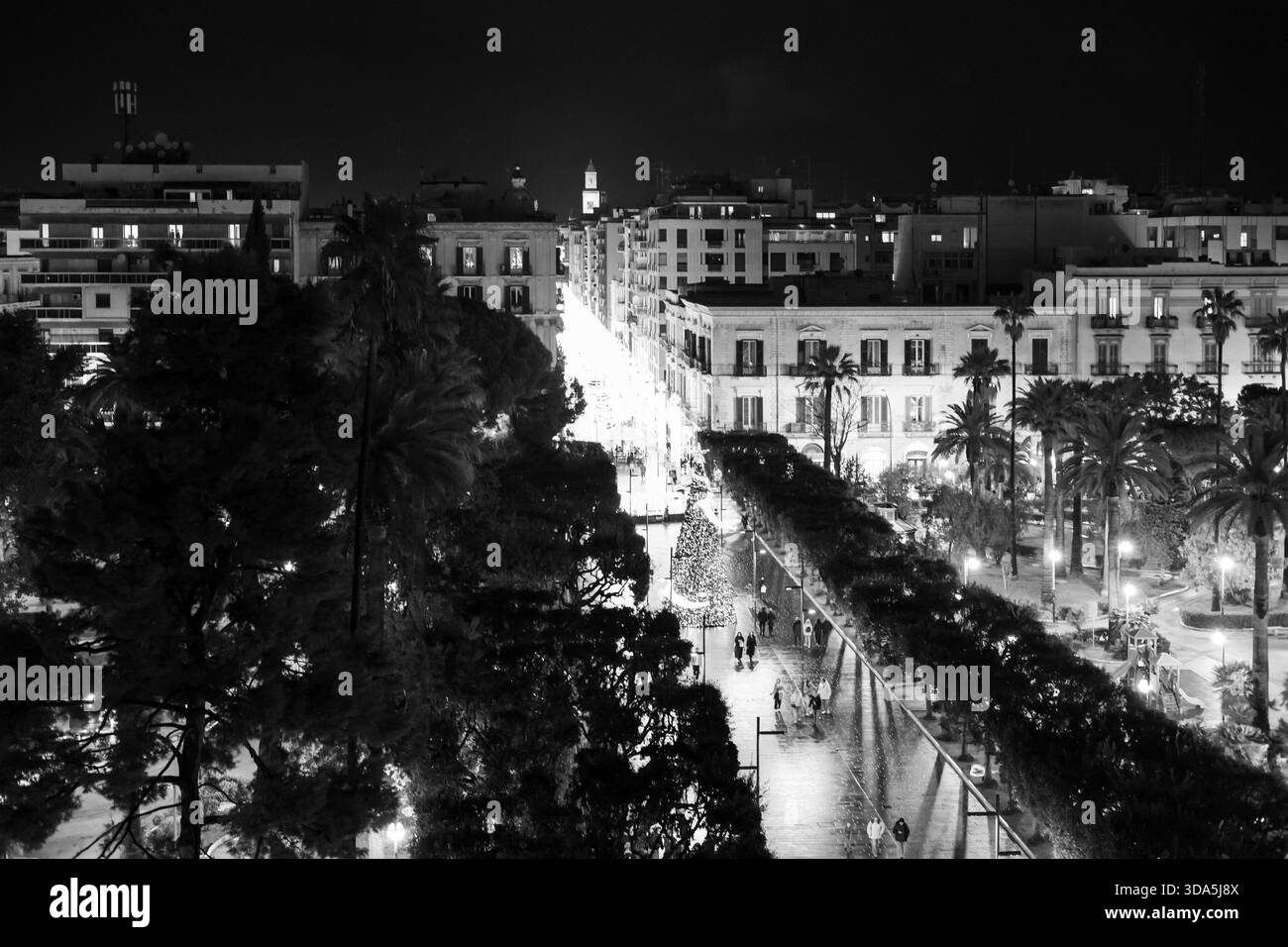 vue nocturne en noir et blanc d'une rue bien éclairée dans une ville méditerranéenne, avec des bâtiments européens classiques, des palmiers, un grand arbre de noël, et Banque D'Images