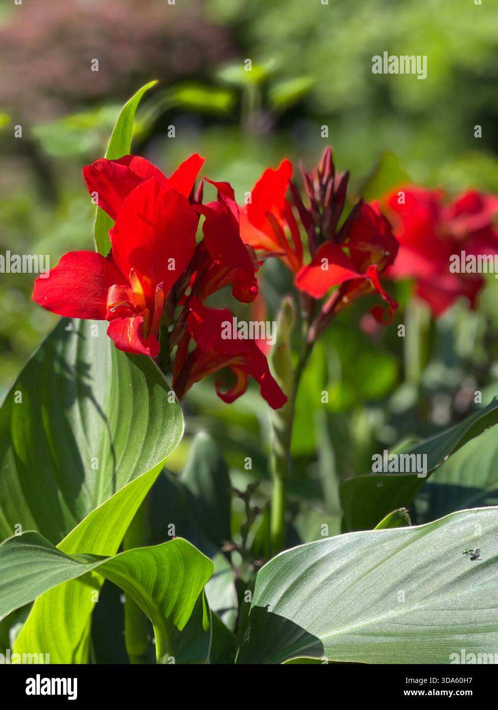 Chaque coin raconte une histoire, chaque rue se sent vivante - la beauté de New York. Banque D'Images