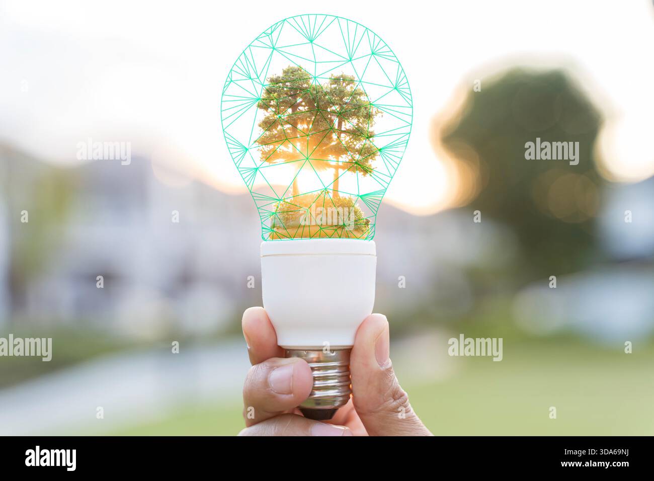 Concept d'énergie écologique créatif montrant une main tenant une ampoule avec un arbre en croissance à l'intérieur, symbolisant la durabilité, l'énergie propre, l'innovation verte Banque D'Images