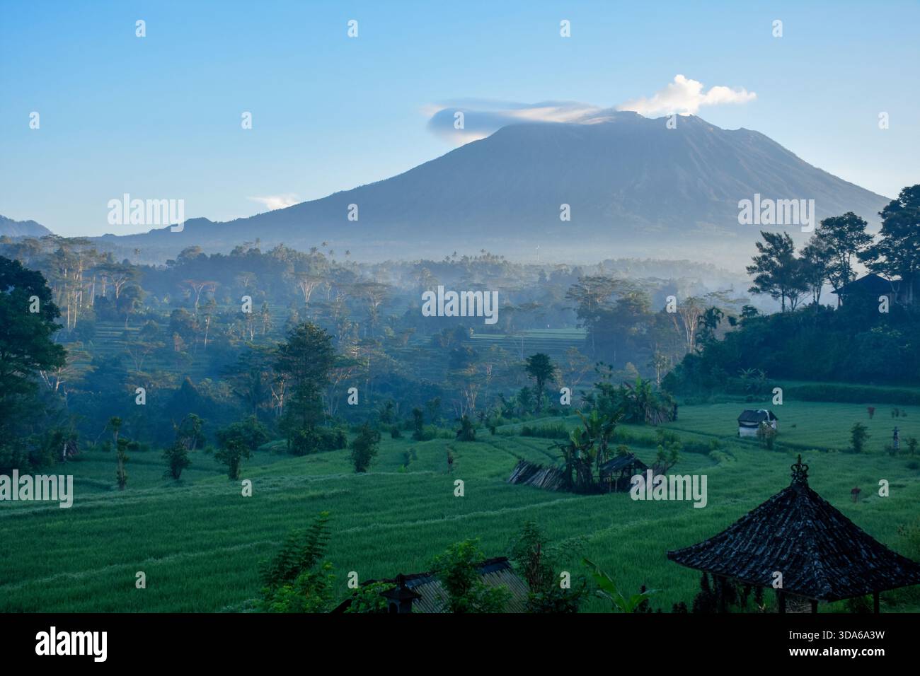 Rizières verdoyantes en terrasses dans la vallée sideman avec le volcan sacré du Mont Agung dominant en arrière-plan dans l'est de Bali, en Indonésie Banque D'Images