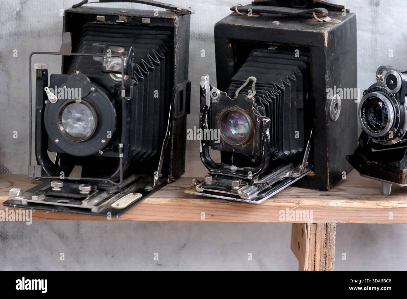 Deux caméras classiques reposent sur une étagère en bois, mettant en valeur leurs designs et leur histoire uniques. Banque D'Images