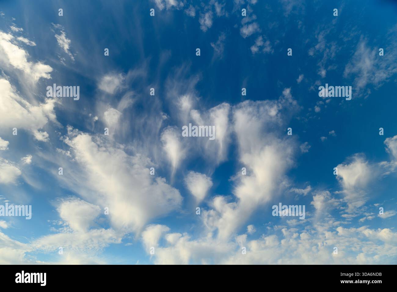 Des nuages moelleux dérivent à travers un ciel bleu éclatant, capturant magnifiquement des natures d'une beauté sereine et tranquille Banque D'Images