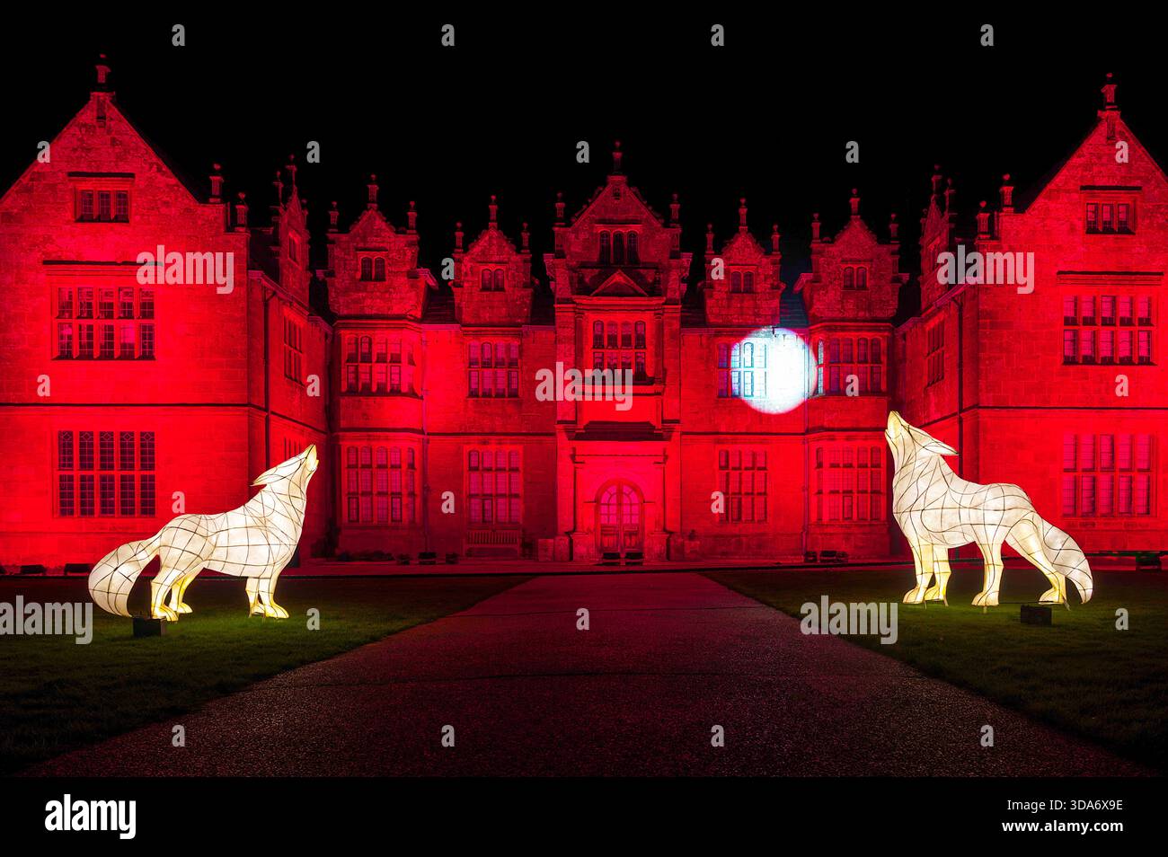 27 Nov 2025 Wakehurst place, Sussex UK Wakehurst place ouvre ses portes à Glow Wild Banque D'Images
