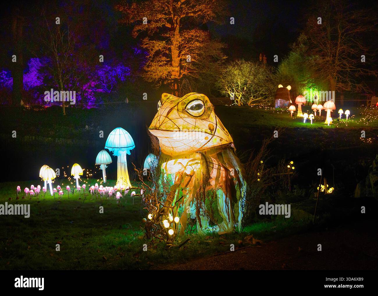27 Nov 2025 Wakehurst place, Sussex UK Wakehurst place ouvre ses portes à Glow Wild Banque D'Images