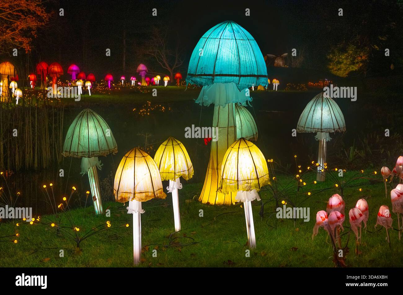 27 Nov 2025 Wakehurst place, Sussex UK Wakehurst place ouvre ses portes à Glow Wild Banque D'Images