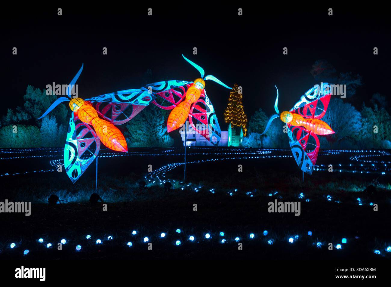 27 Nov 2025 Wakehurst place, Sussex UK Wakehurst place ouvre ses portes à Glow Wild Banque D'Images